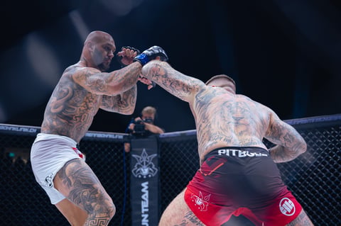 Two tattooed MMA fighters in combat stance inside an octagon cage during a professional mixed martial arts match.